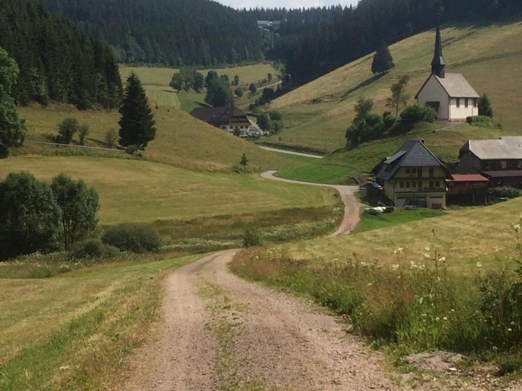 Schwarzwald Geht Immer Fewo 60 Qm Mit Grossem Suedbalkon, Wlan Und Magenta Tv Schönwald Luaran gambar