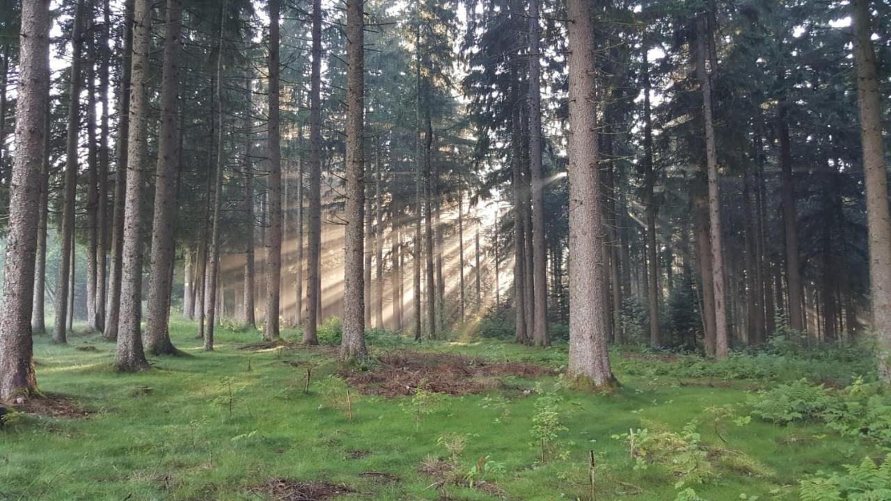 Schwarzwald Geht Immer Fewo 60 Qm Mit Grossem Suedbalkon, Wlan Und Magenta Tv Schönwald Luaran gambar